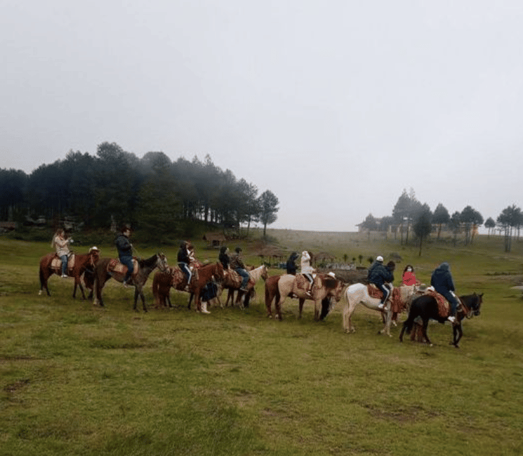 Monta de caballos en el Valle de Piedras Ensimadas
