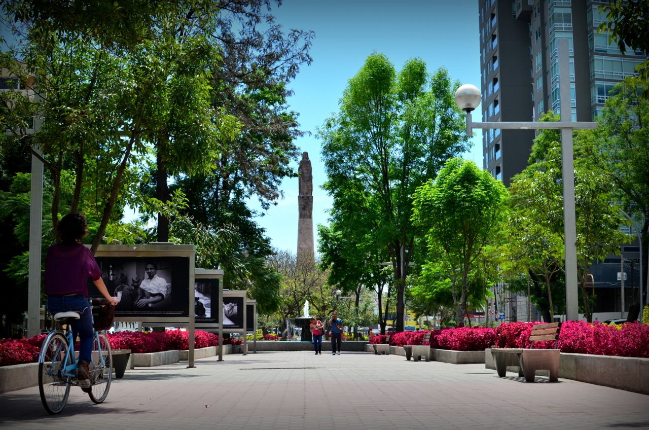 Paseo Chapultepec