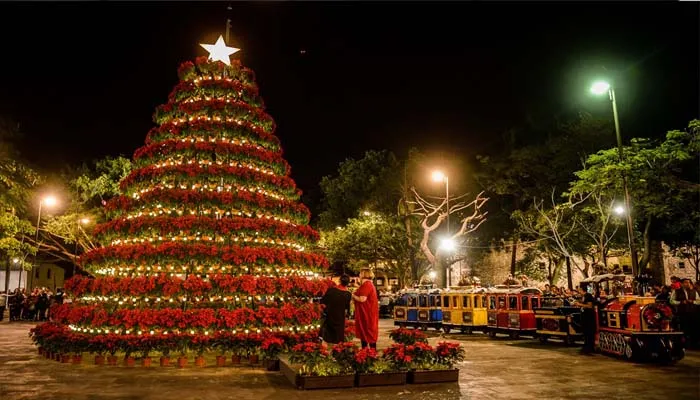 plaza de armas navidad cuernavaca