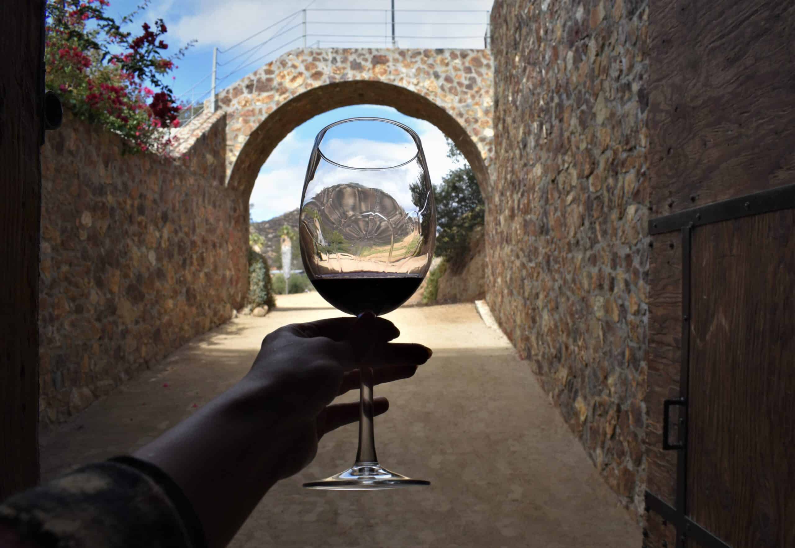 Seis increíbles cavas para vivir La Ruta del Vino en Baja California