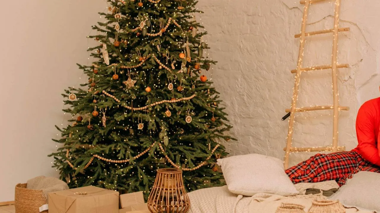 La primera mención del árbol de Navidad aparece en 1419 en las instrucciones a los aprendices de panadero de la Fraternidad de Friburgo de la Alsacia alemana.