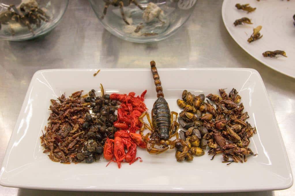 venta de insectos mercado de san juan