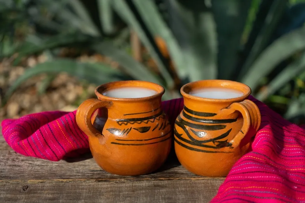 Vive el Festival del Pulque en el pueblo mágico de Tlaxco