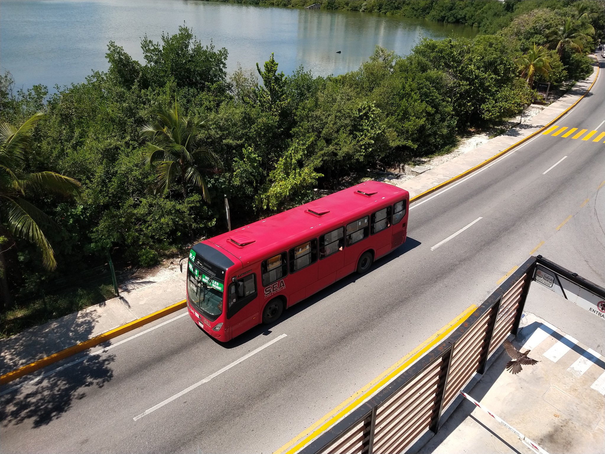 ¿En Cancún? Estas son algunas opciones de transporte