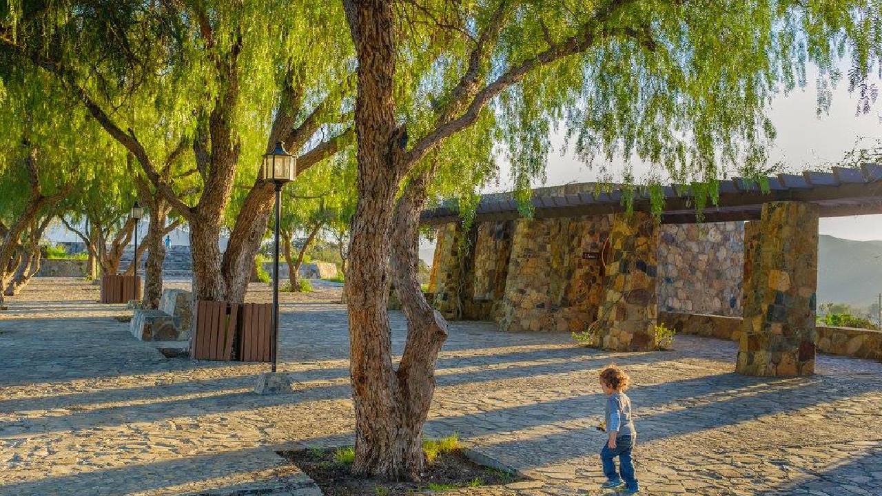 El Parque del Profesor es un lugar al que puedes ir cuando quieras estar en un lugar con hermosos jardines y vistas espectaculares.