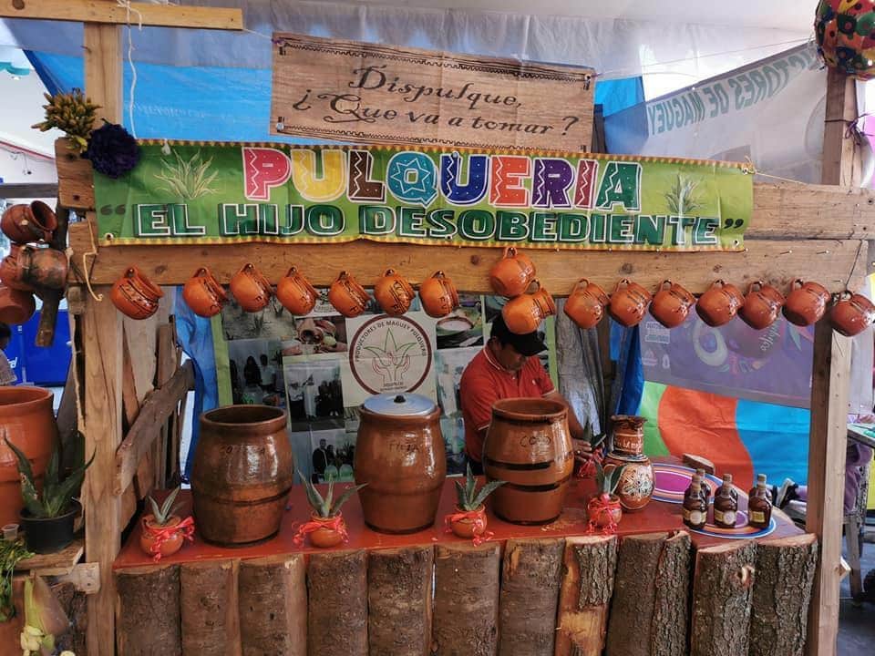 Descubre la Feria del Pulque Jiquipilco