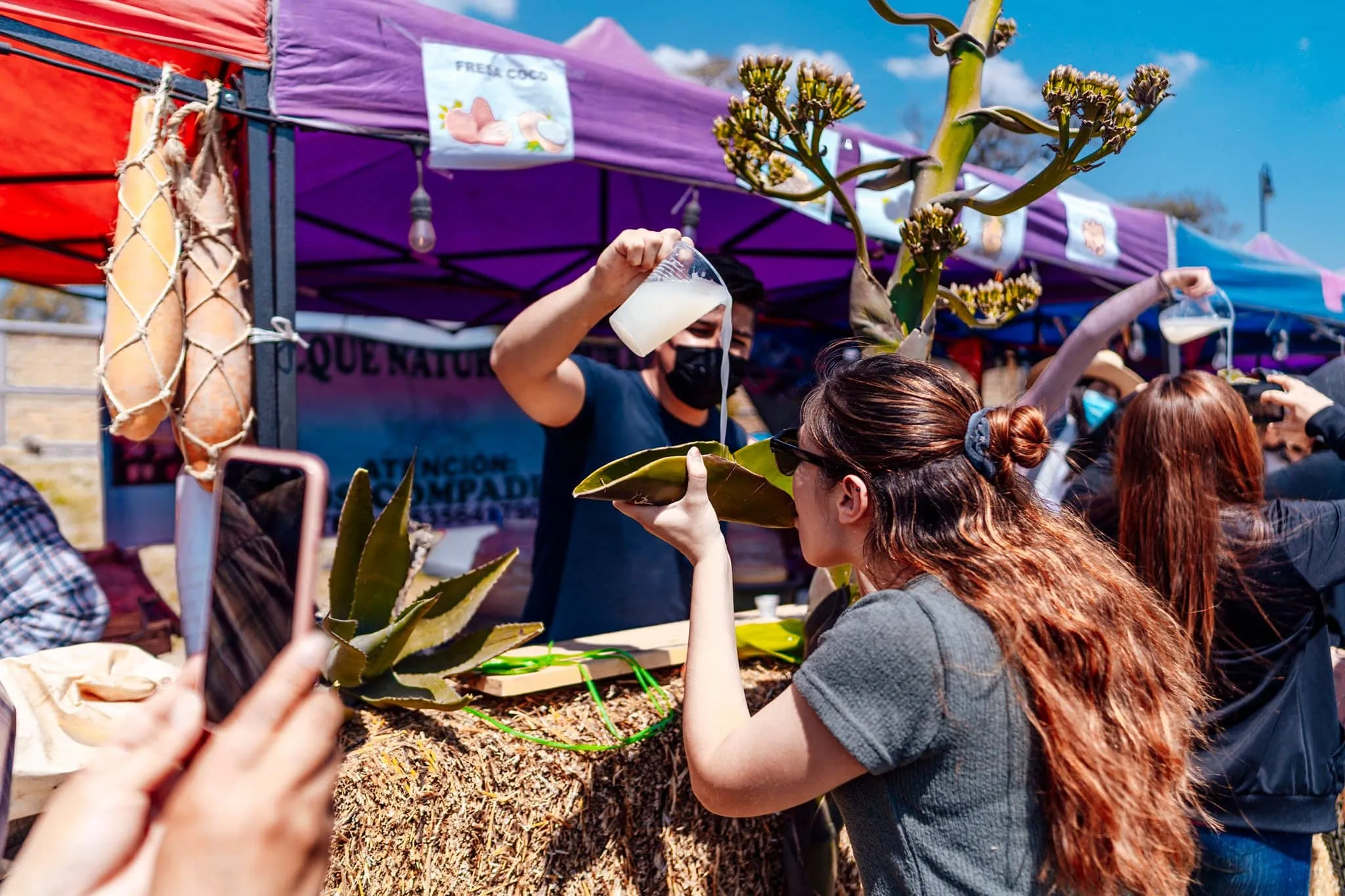 Si amas el pulque no te pierdas el Pulcata Fest