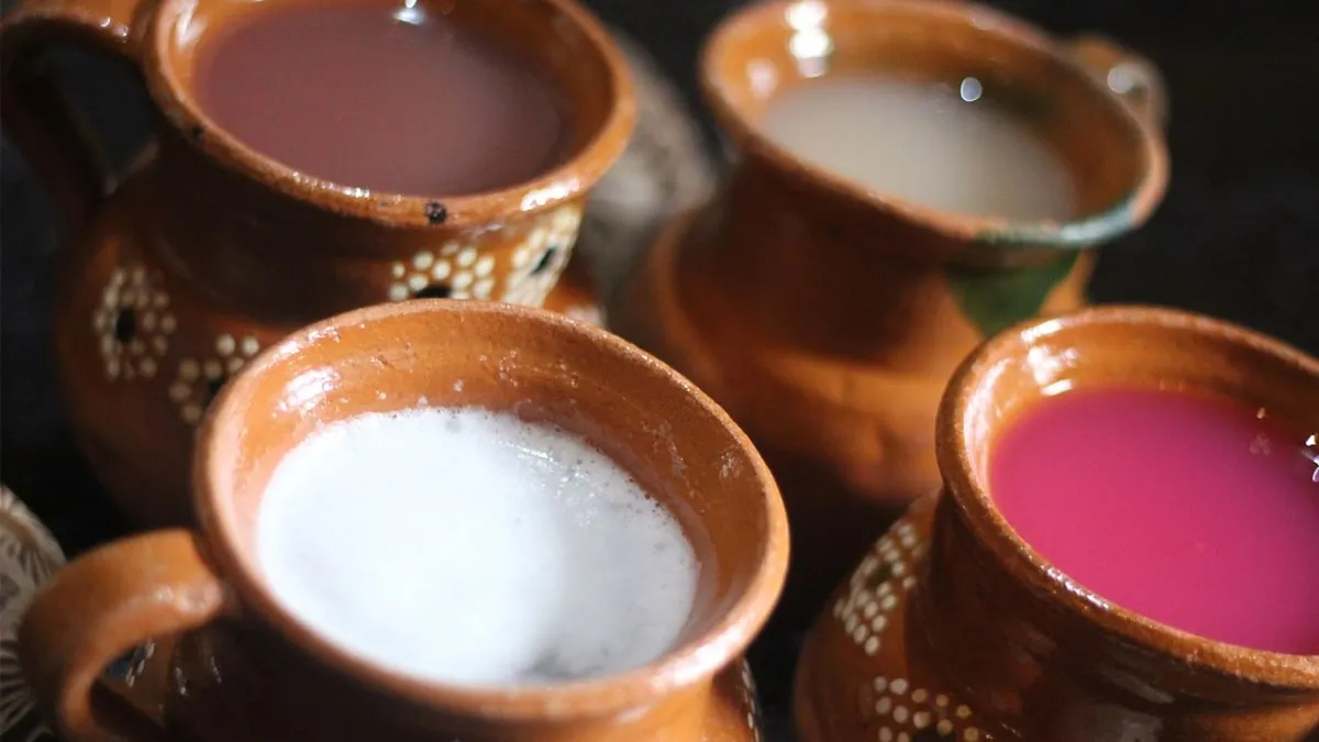 Éntrale a la bebida de los Dioses en la Fiesta del Pulque