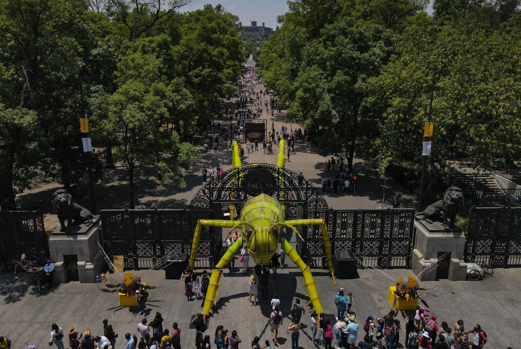 Anímalistica: El Festival del Bosque de Chapultepec