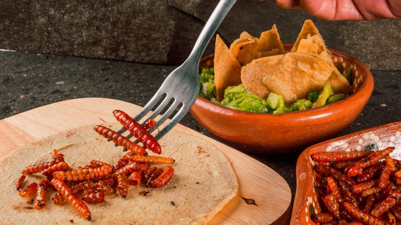 En el Día del Taco, estos son algunos tacos exóticos que debes probar