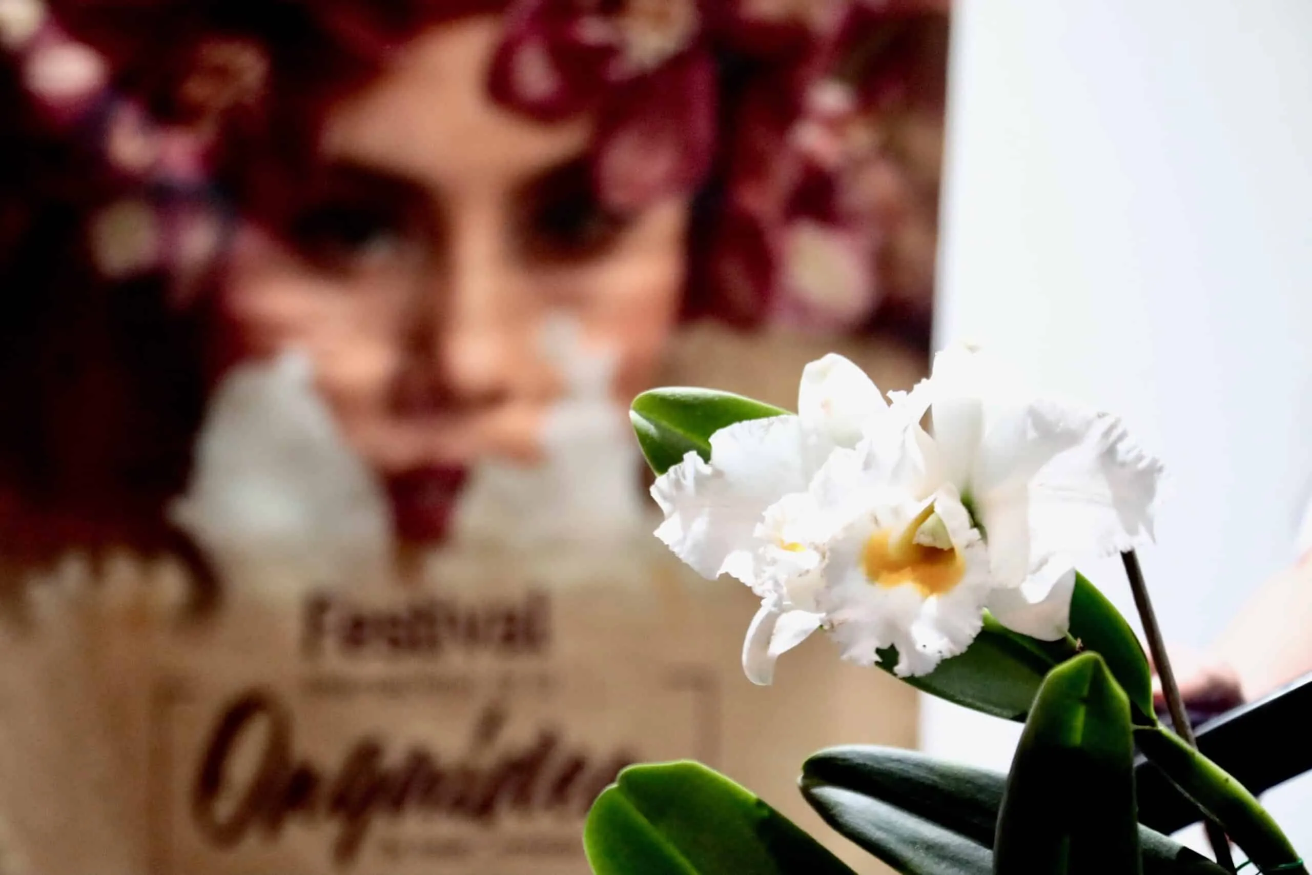 Festival Internacional de la Orquídea