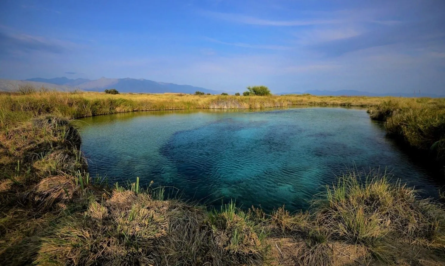 Descubre la increíble Poza Azul en Cuatro Ciénegas