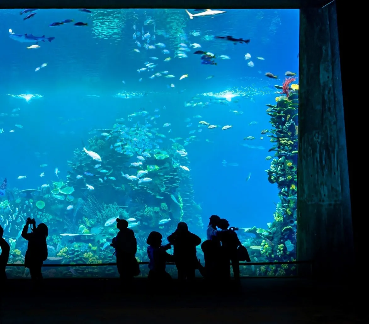 Gran Acuario de Mazatlán