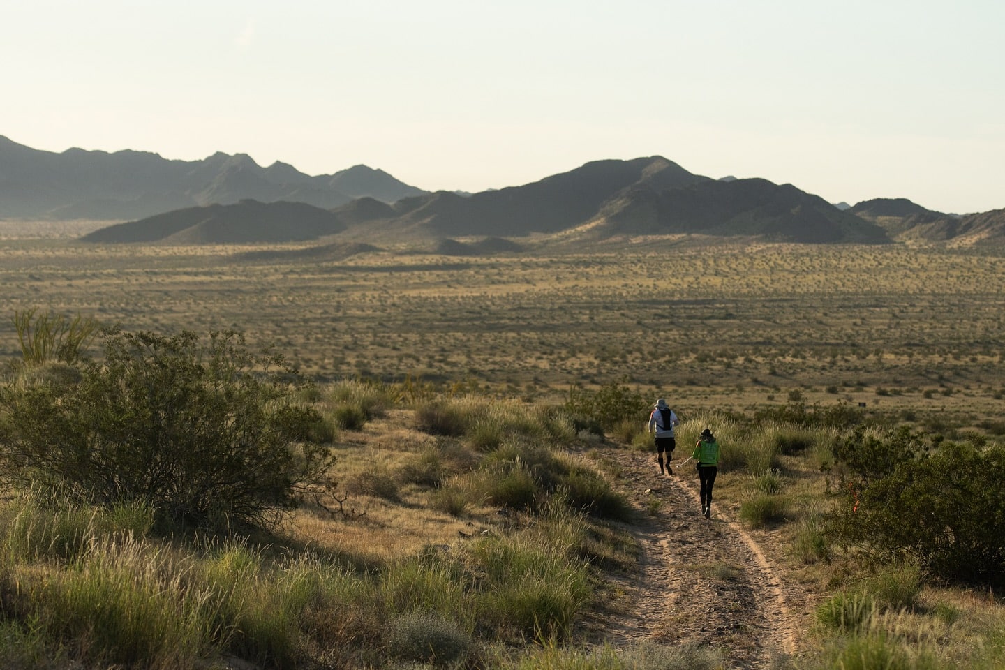 Carrera del Desierto
