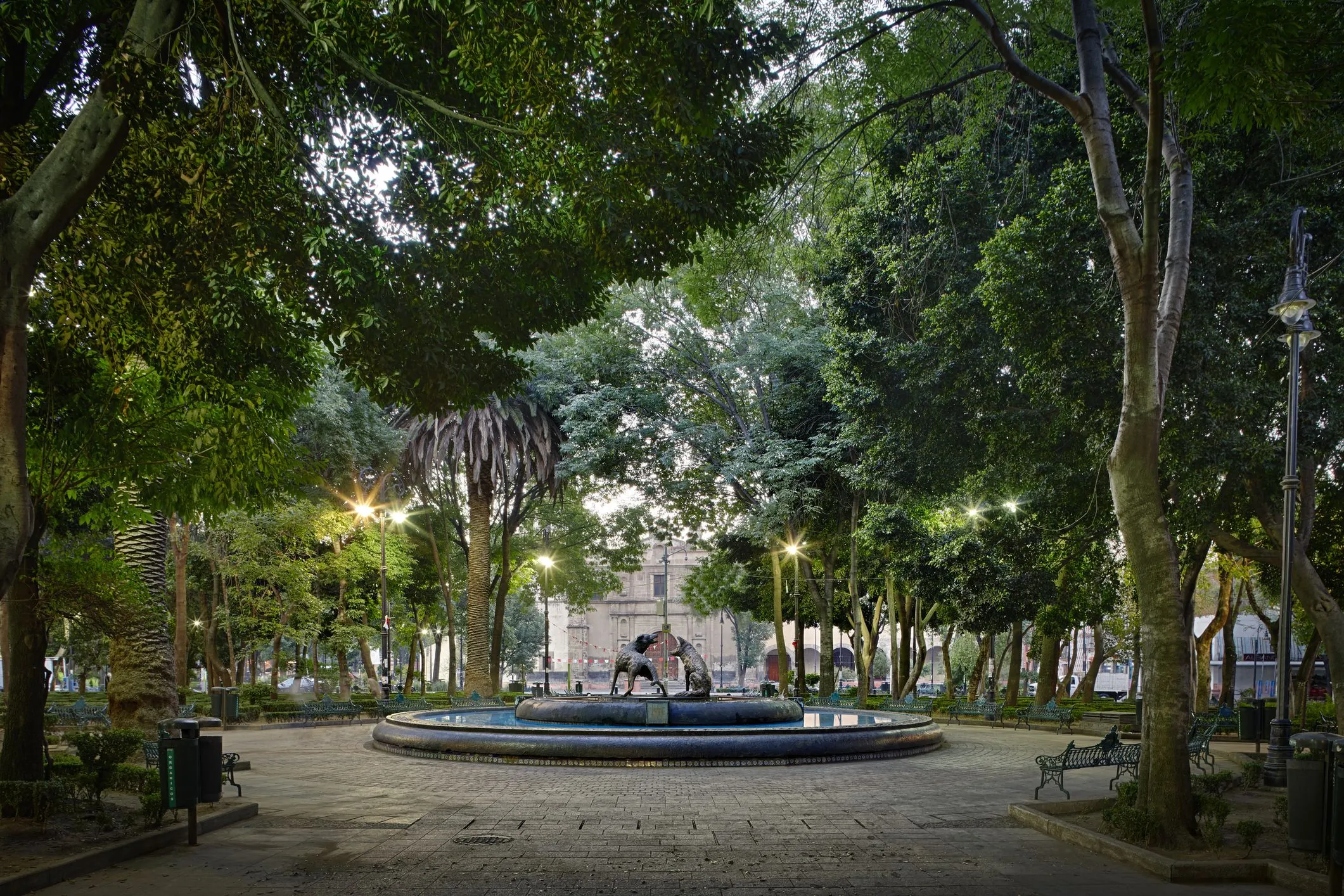 Jardín Hidalgo Coyoacán