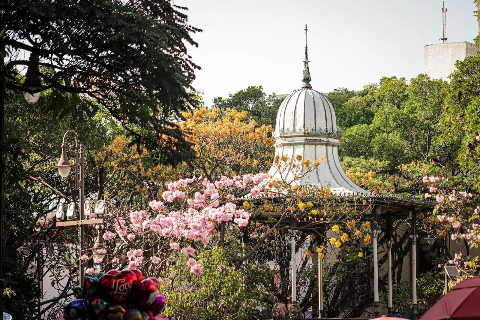 Disfruta del puente en el Festival Morelos, la Eterna Primavera