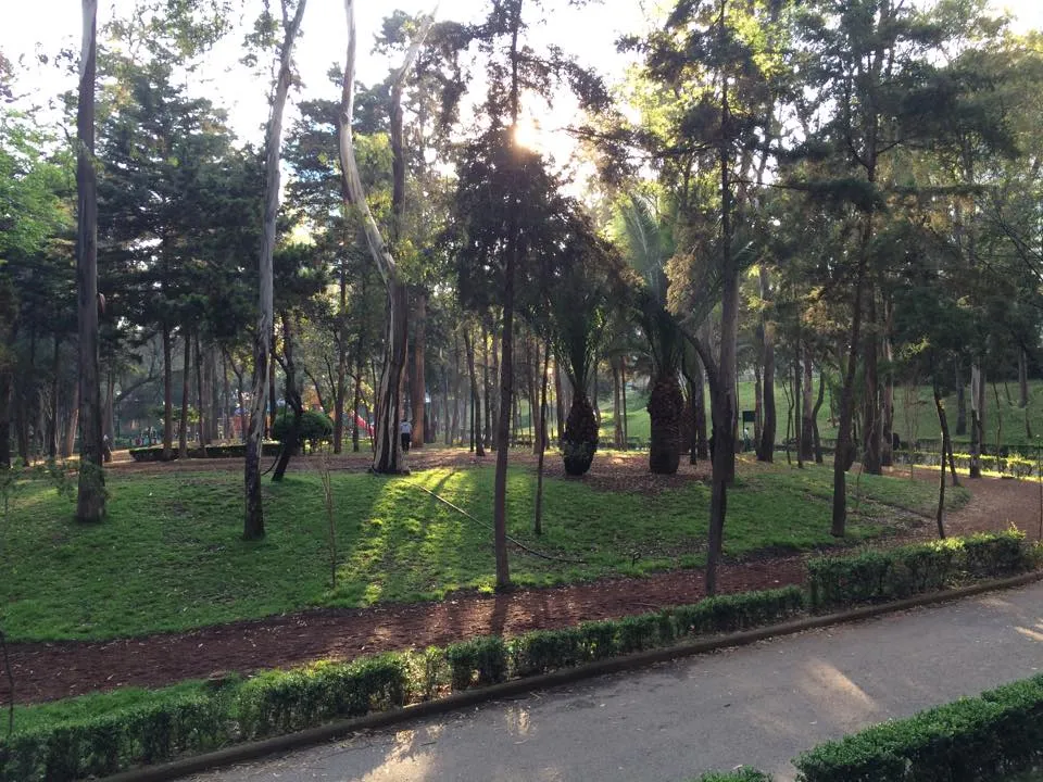 Parques en la Ciudad de México donde puedes hacer ejercicio