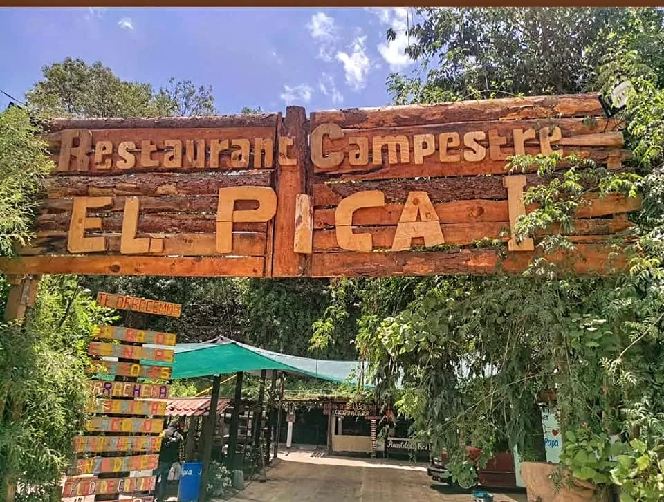 barbacoa el pica texcoco