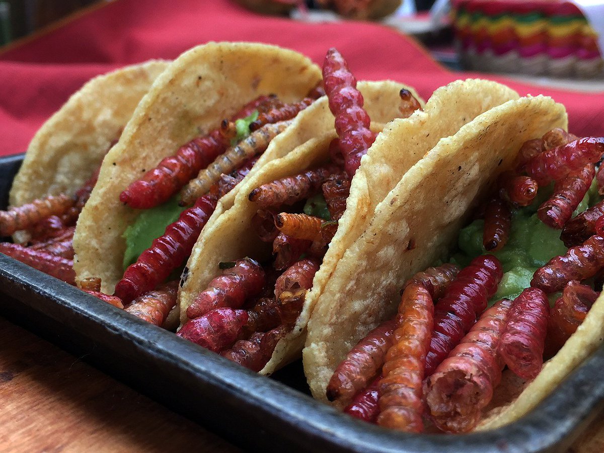 Tacos de gusanos de maguey entre los tacos exóticos de México
