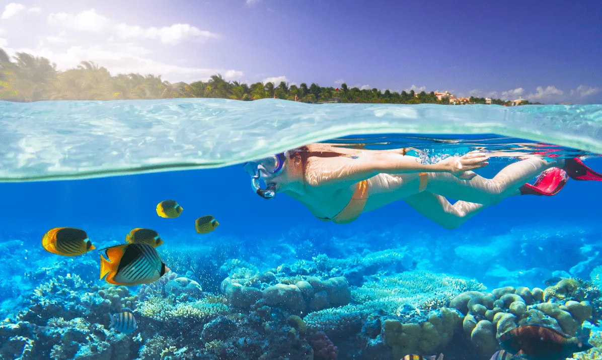 ¿Te gusta el snorkel? En estas playas de México lo puedes hacer