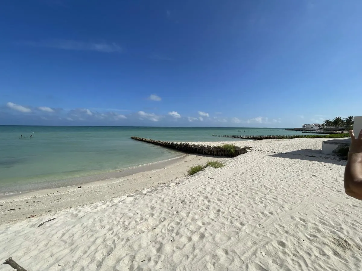 Explora las majestuosas Dunas de Chuburná en Yucatán