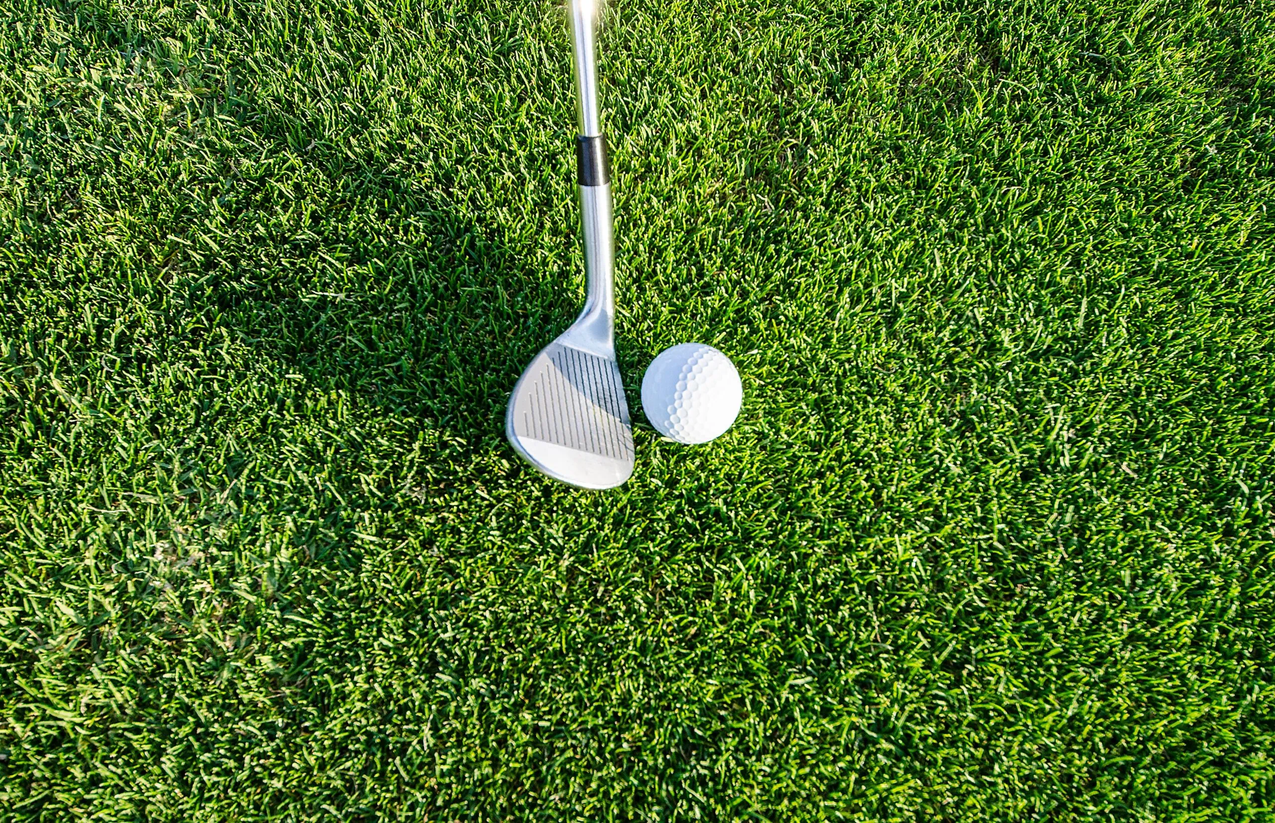 Torneo de golf