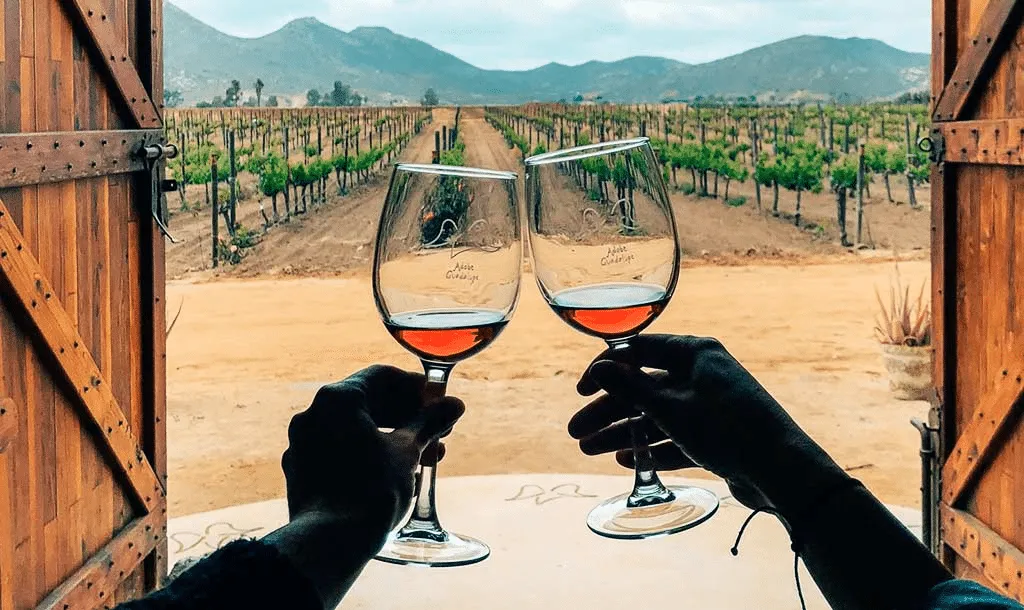 Copas de vino