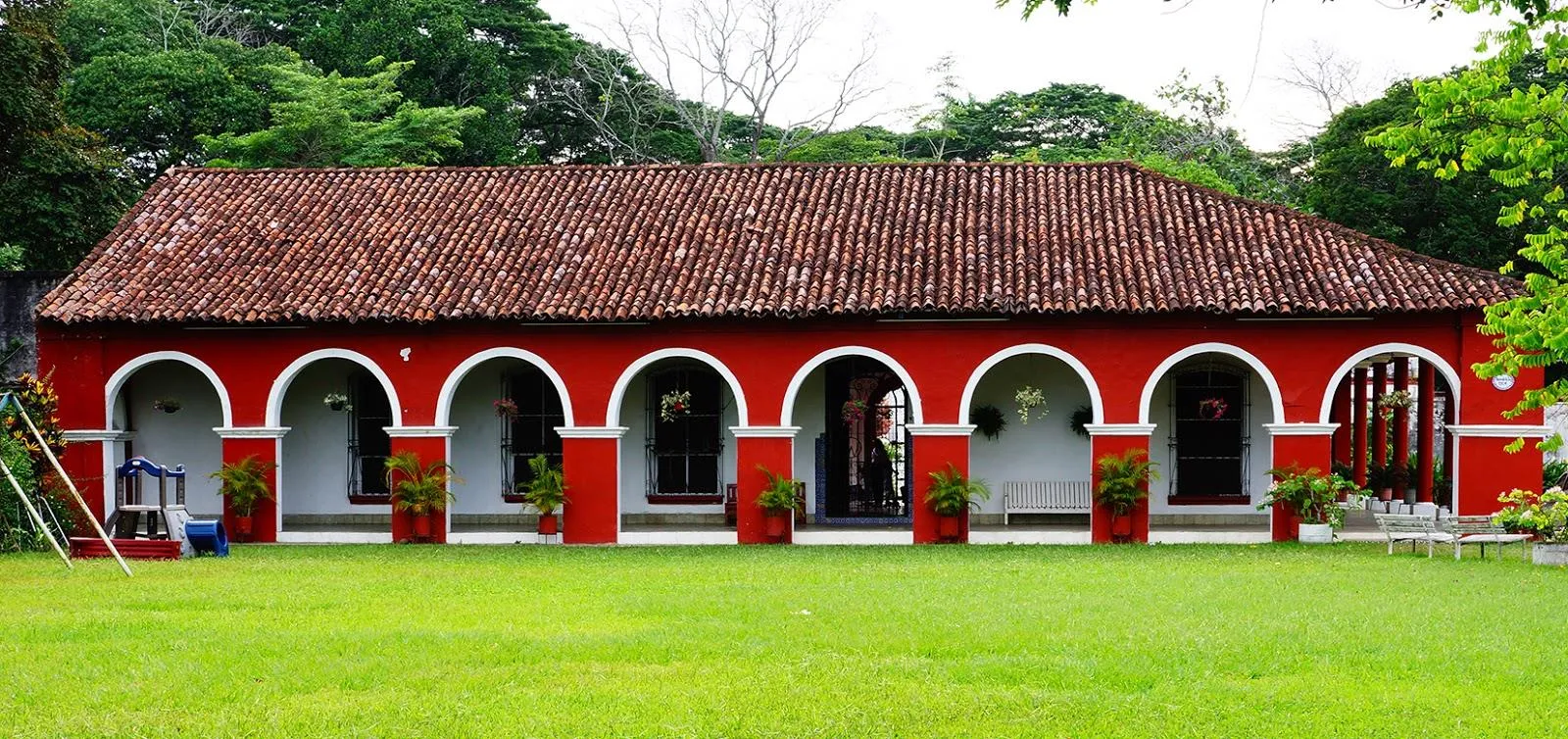 Explora la belleza tropical y el fascinante mundo del cacao en Hacienda La Luz