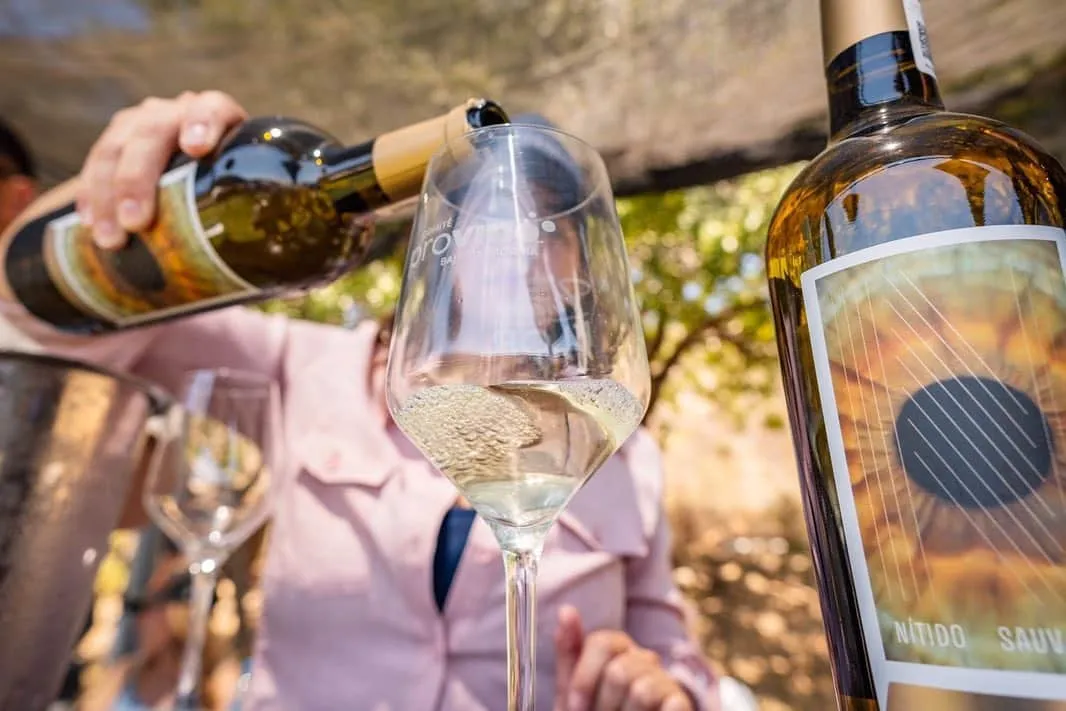 Copa de vino