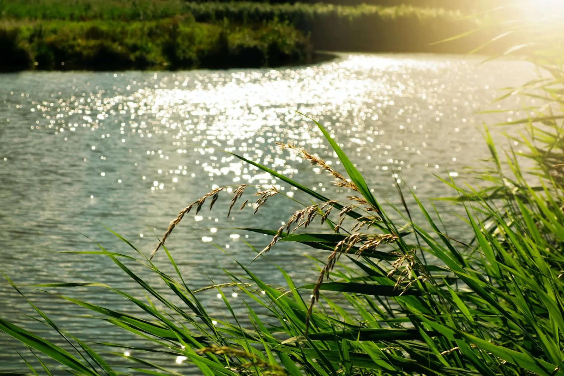 Río Agua Salada, un oasis termal cerca de la ciudad de México