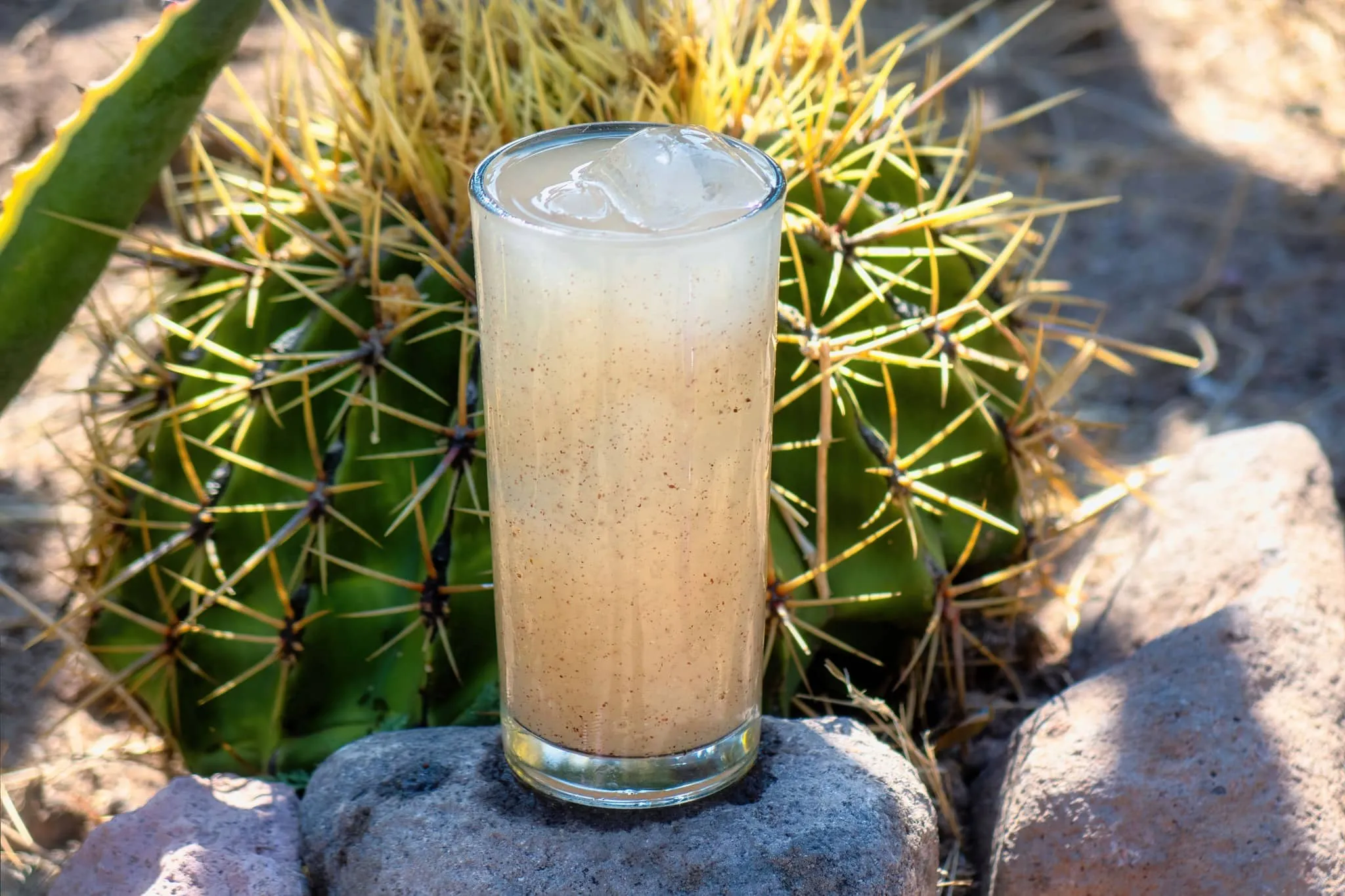 descubre una nueva típica, agua de borrachita