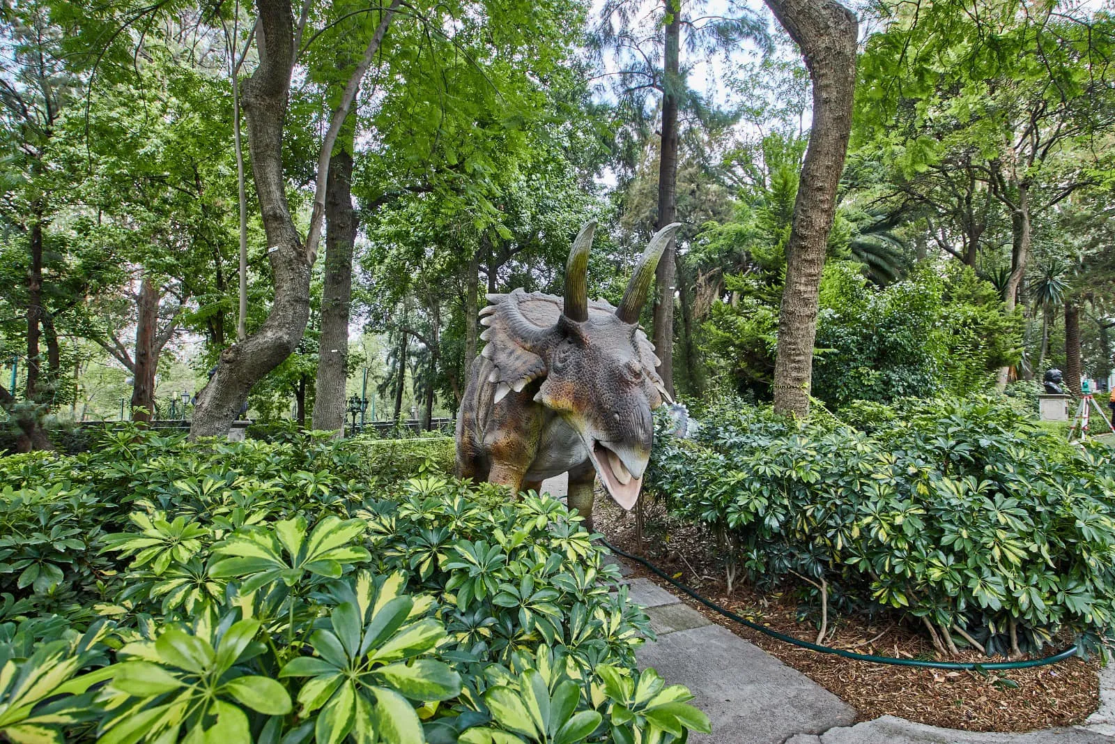 visita esta exposición de dinosaurios en Los Pinos en CDMX