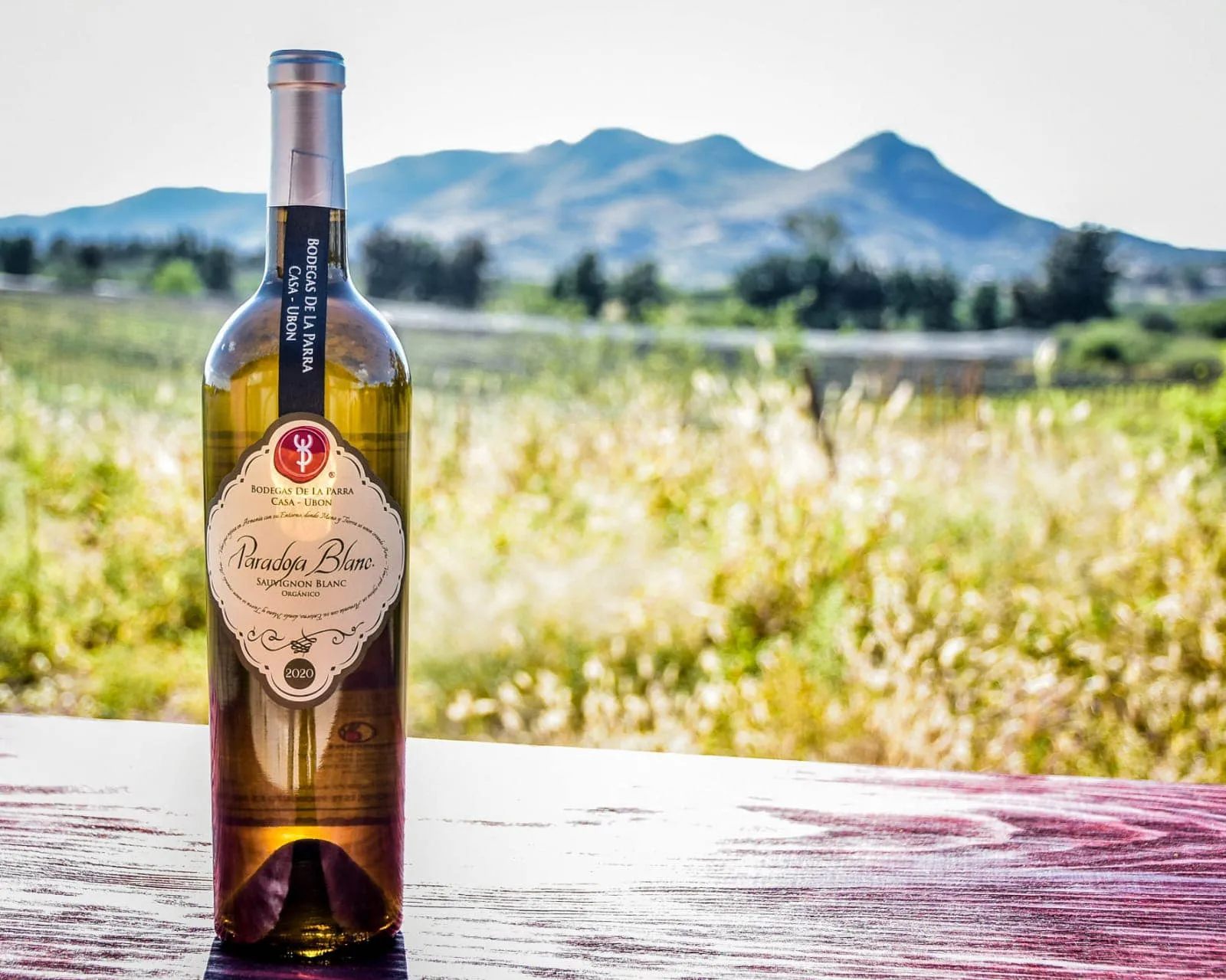 Vino de Aguascalientes
