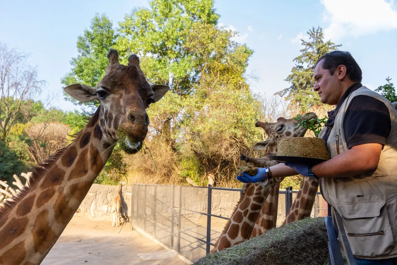 Zoológico de Chapultepec