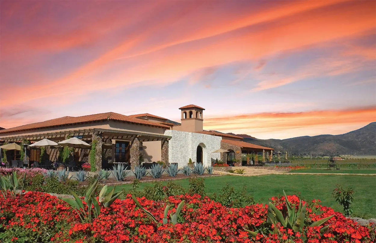 El Cielo, una experiencia vinícola única en Valle de Guadalupe