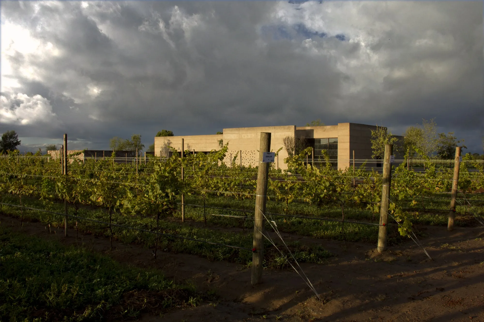 Cuna de Tierra
