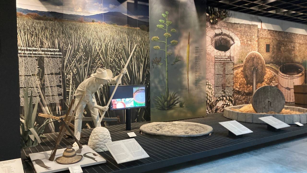 Disfruta del fascinante Museo del Tequila y el Mezcal en la CDMX