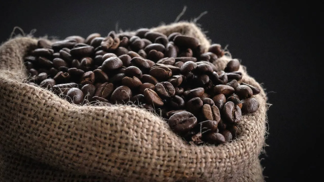 ¿Sabías que en el mundo se toman hasta 3 mil millones de tazas de café? De ese tamaño es su importancia, y por eso hoy te hablamos de Día del Café y su origen.