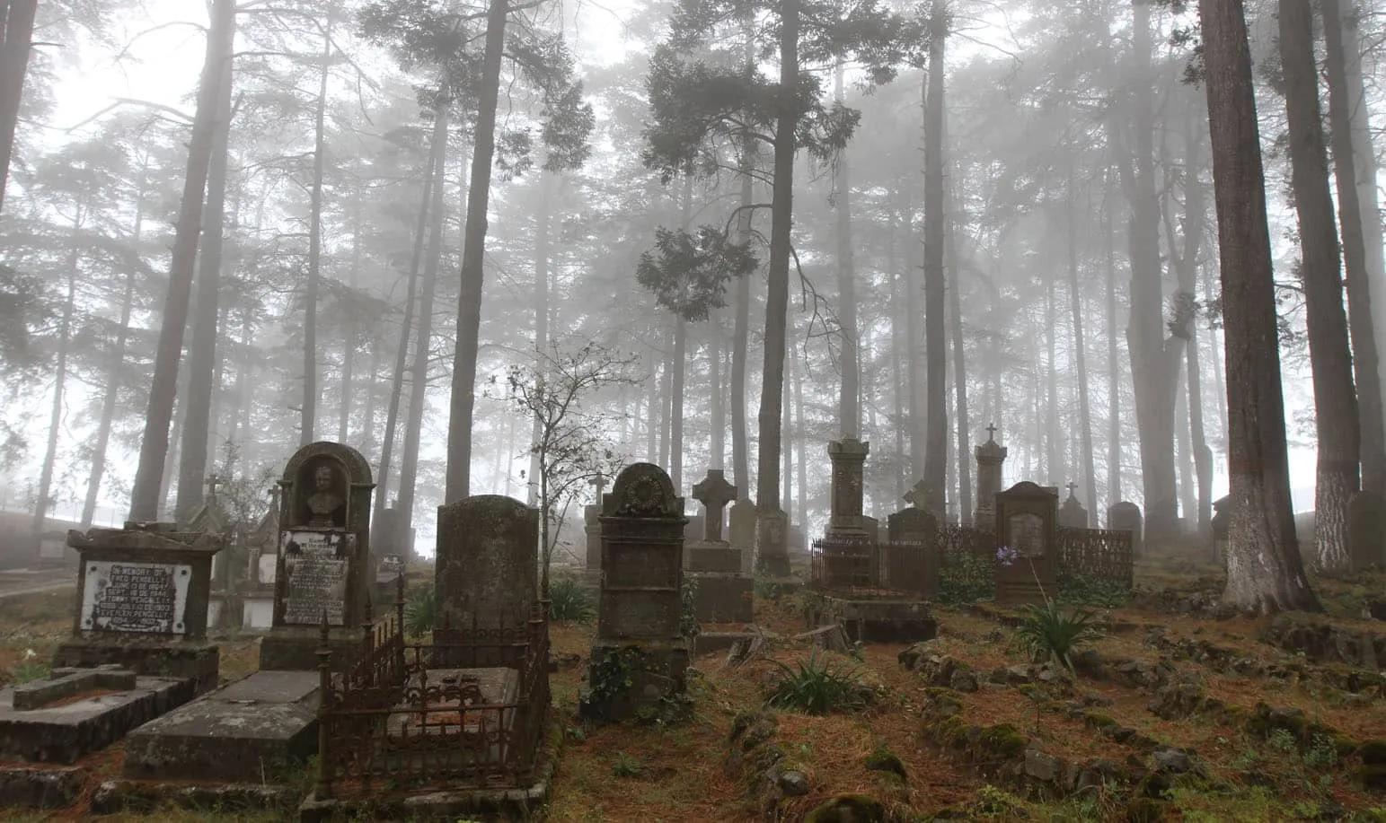 Tradiciones y actividades del Día de Muertos en Real del Monte