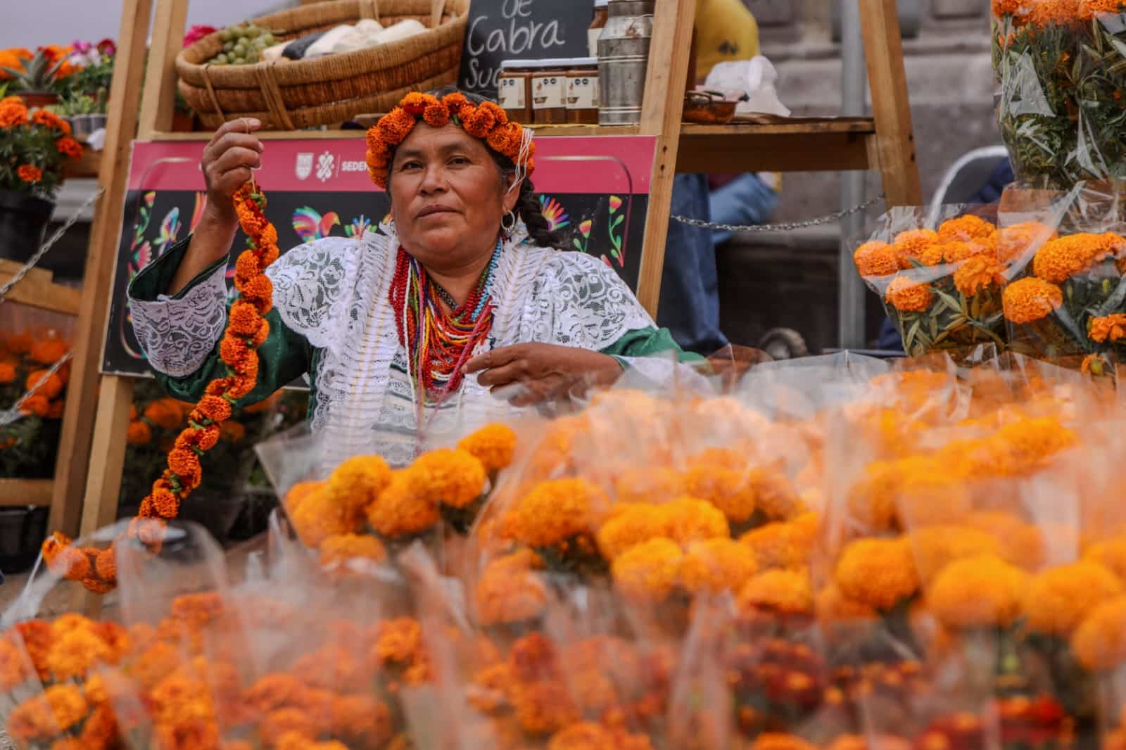 ¡Lánzate a Reforma al Festival de las Flores de Cempasúchil!