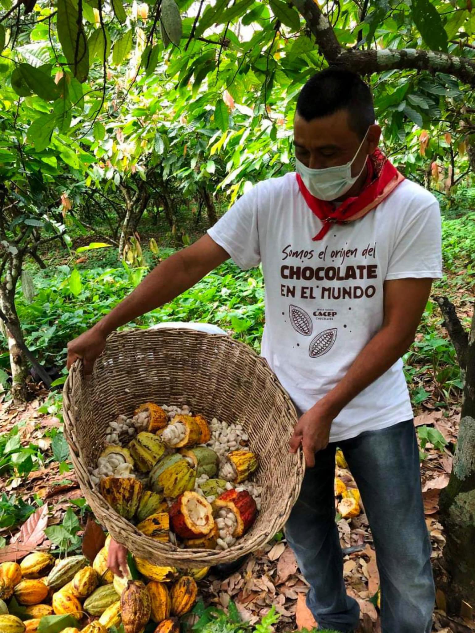 Con olor a cacao, llega Tabasco a Punto México
