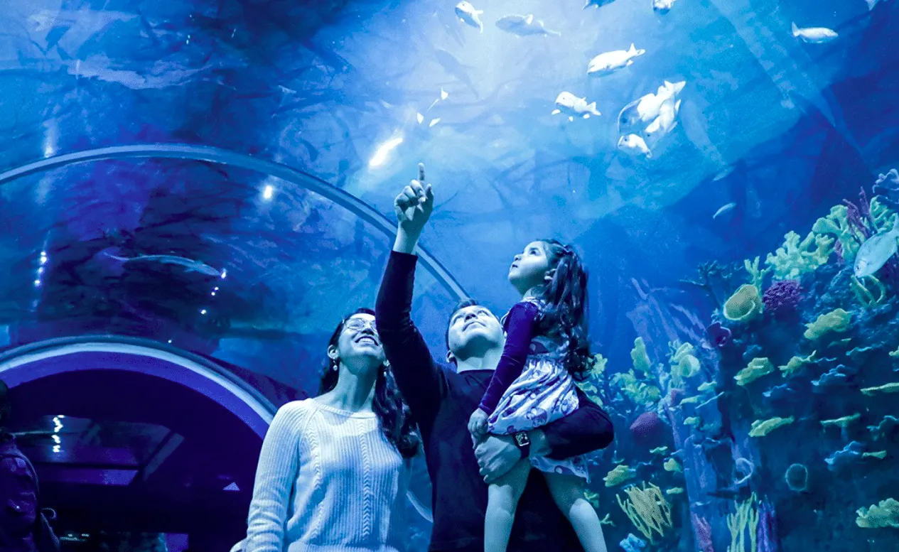 Acuario Michin: Un viaje subacuático en el Parque Tepeyac