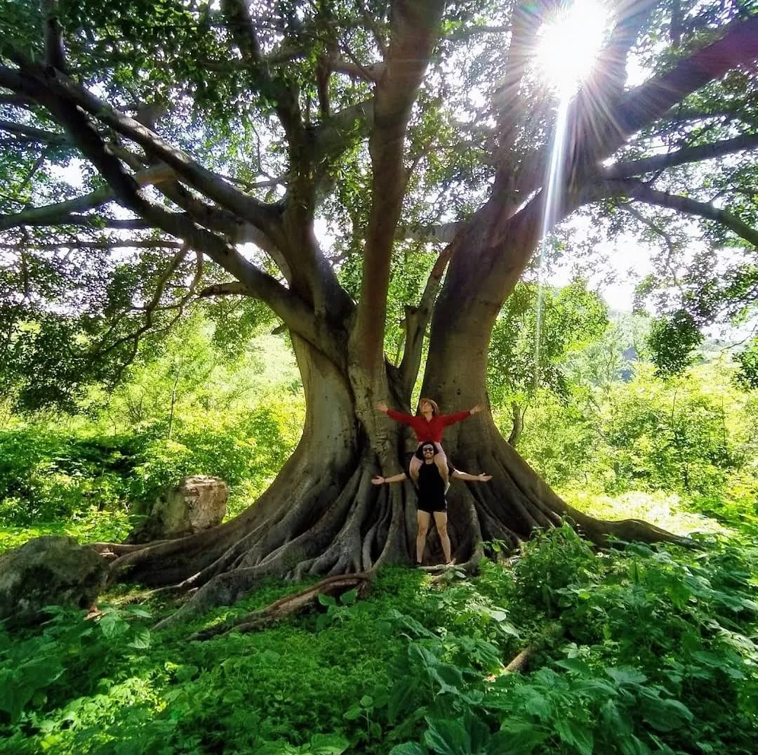 Parque Ecológico Huilotán, un refugio natural en Jalisco