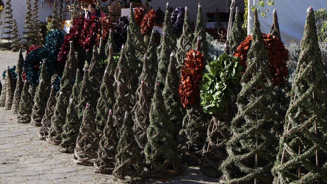 Pinos de Navidad