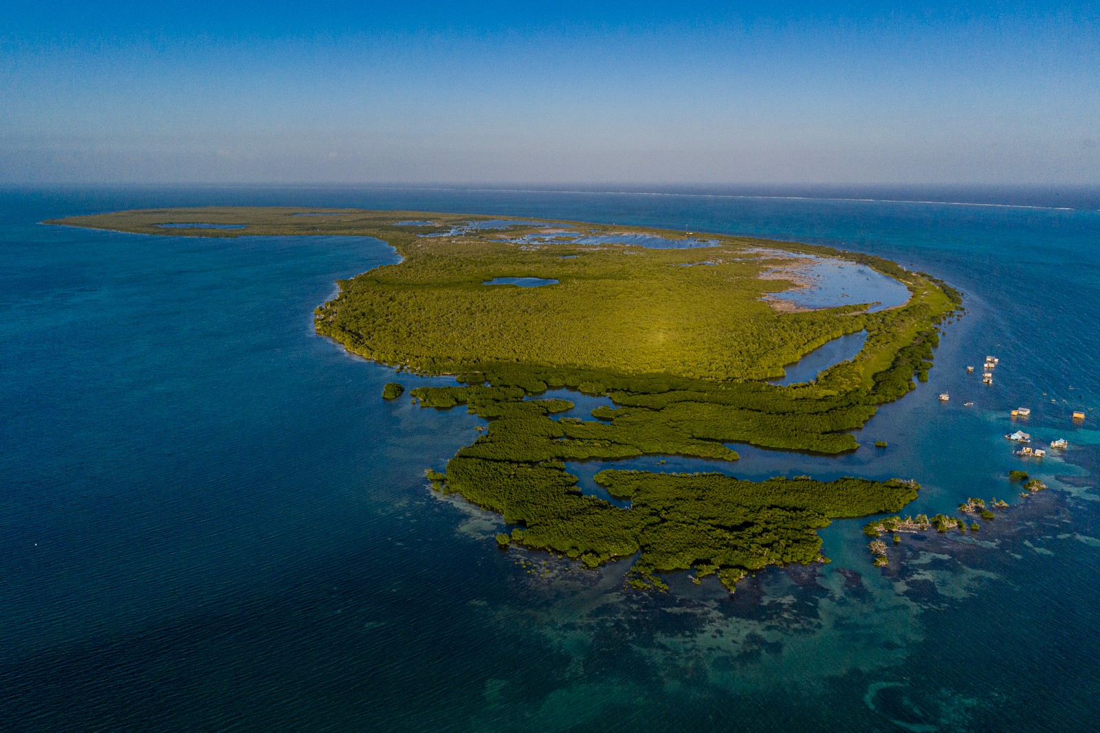 Ya conoces la Reserva de la Biósfera Banco Chinchorro Mahahual