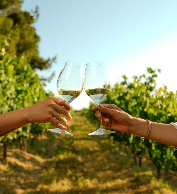 Baja California anuncia sus eventos vinícolas para 2024