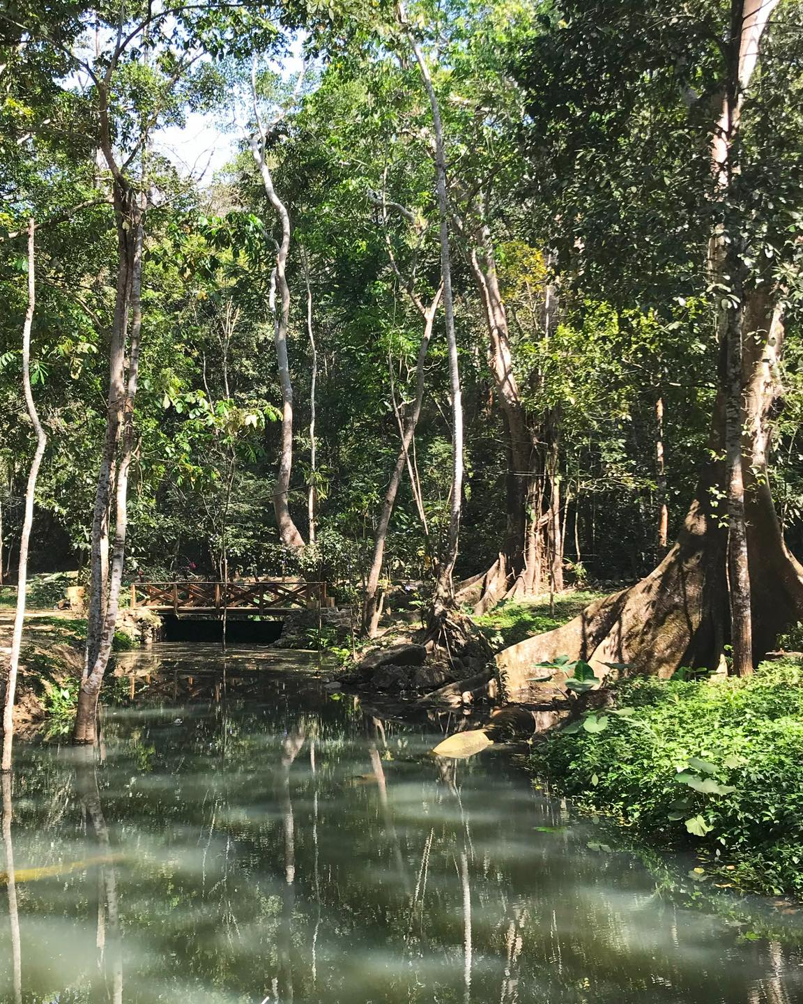 Canoas, la nueva Área Natural Protegida de Colima