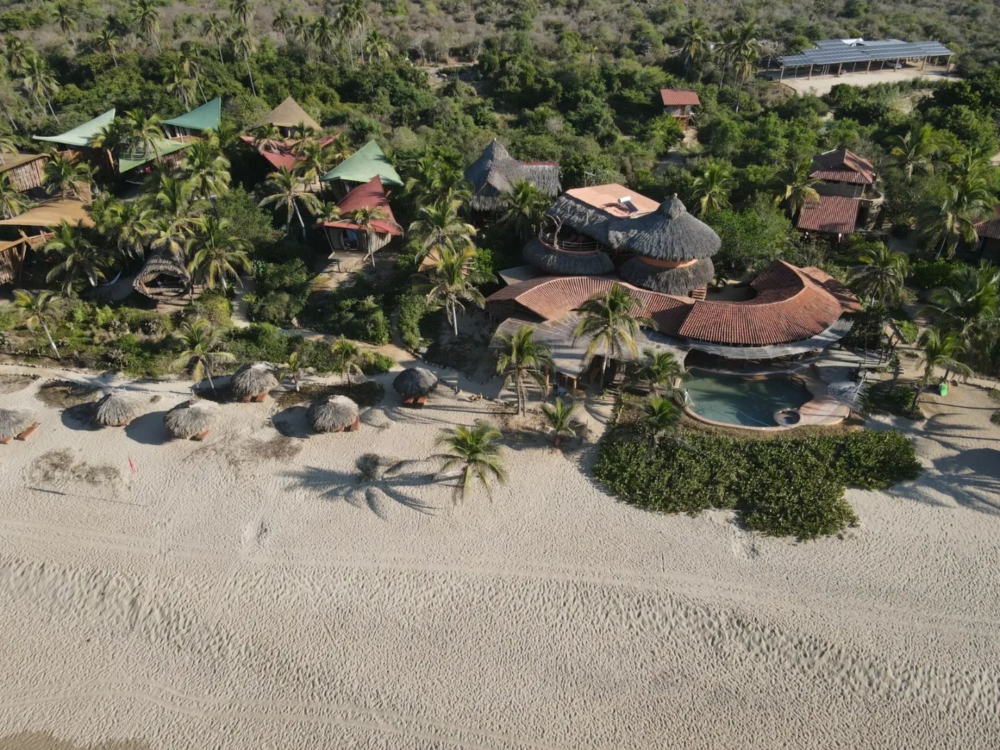 Playa Viva, el lugar donde se unen lujo, naturaleza y sustentabilidad