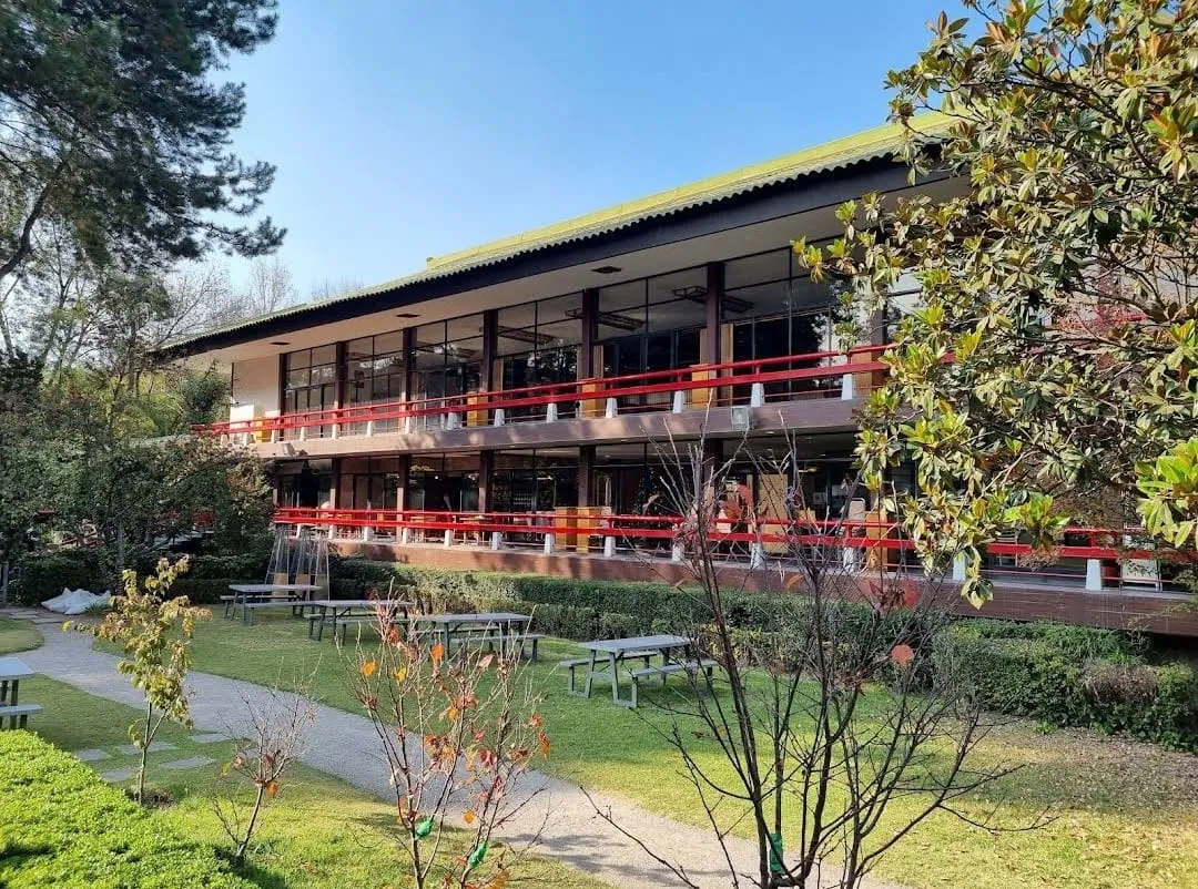 Bazarcito Japonés, un tesoro oriental con productos únicos
