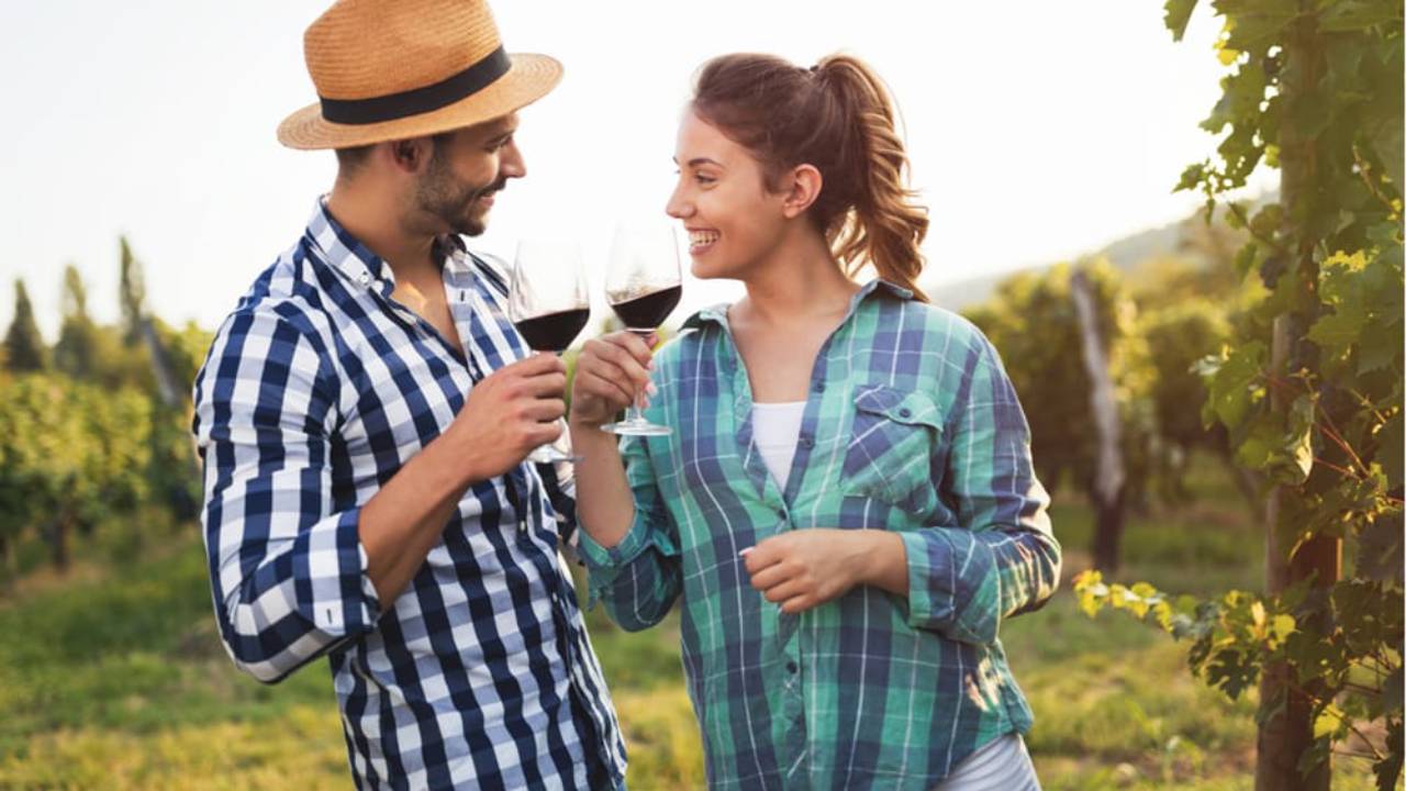 Cinco viñedos en Querétaro para celebrar este 14 de febrero